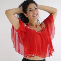Bluse in rot mit Rüschen, Crop Top, Rüschen Crop Top Damen, Rotes Oberteil mit Tüll Ärmel Bluse in rot mit Rüschen, Crop Top, Rüschen Crop Top Damen, Rotes Oberteil mit Tüll Ärmel