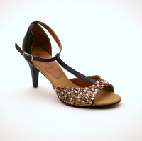 Handverzierte Salsa und Tango Tanzschuhe Handverzierte Salsa und Tango Tanzschuhe